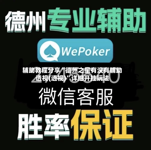 辅助教程分享“德州之星有没有辅助透视(透视)”详细开挂玩法-第2张图片