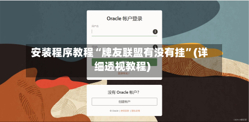 安装程序教程“牌友联盟有没有挂”(详细透视教程)-第3张图片