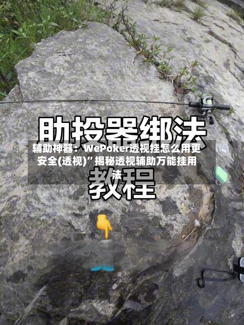 辅助神器：WePoker透视挂怎么用更安全(透视)”揭秘透视辅助万能挂用法-第2张图片