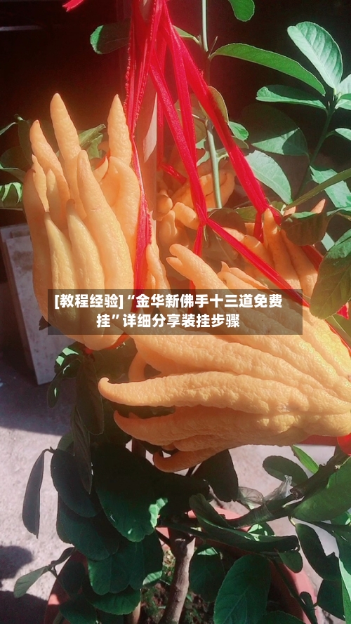 [教程经验]“金华新佛手十三道免费挂”详细分享装挂步骤-第3张图片