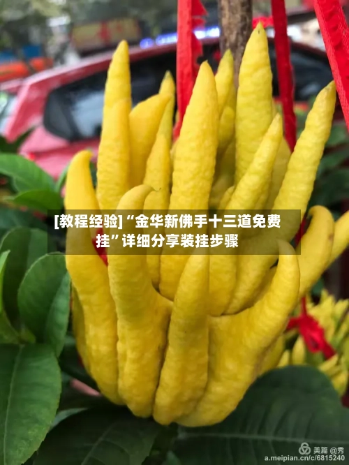 [教程经验]“金华新佛手十三道免费挂	”详细分享装挂步骤-第2张图片