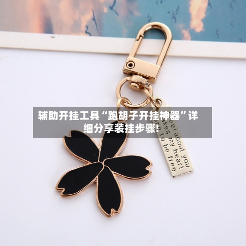 辅助开挂工具“跑胡子开挂神器	”详细分享装挂步骤!-第2张图片