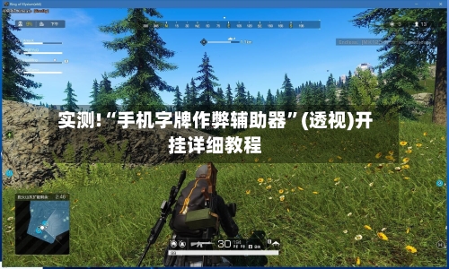 实测!“手机字牌作弊辅助器”(透视)开挂详细教程-第2张图片