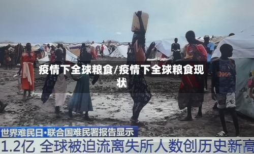 疫情下全球粮食/疫情下全球粮食现状-第2张图片