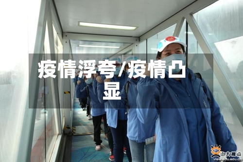 疫情浮夸/疫情凸显-第2张图片