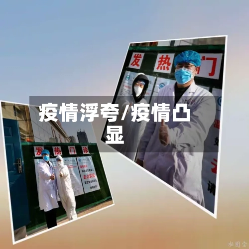 疫情浮夸/疫情凸显