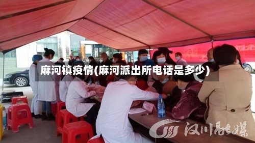 麻河镇疫情(麻河派出所电话是多少)-第3张图片