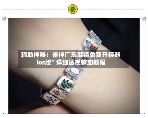 辅助神器：雀神广东麻将免费开挂器ios版”详细透视辅助教程-第2张图片