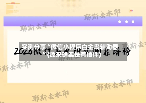 实测分享“微信小程序白金岛辅助器	”(原来确实是有插件)-第2张图片