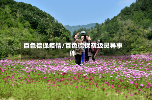 百色德保疫情/百色德保初级灵异事件-第2张图片