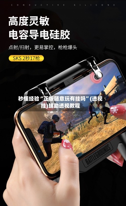 秒懂经验“正版随意玩有挂吗”(透视挂)辅助透视教程-第2张图片