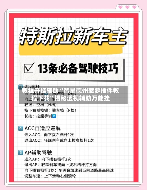 教程开挂辅助“智星德州菠萝插件教程下载	”揭秘透视辅助万能挂-第3张图片