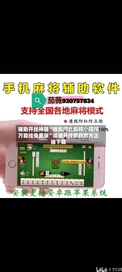 辅助开挂神器“微乐河北麻将小程序万能挂免费版”详细开挂教程官方正版下载-第3张图片