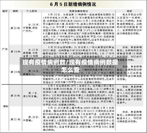 现有疫情病例数/现有疫情病例数据怎么查-第2张图片