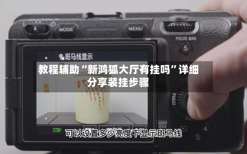 教程辅助“新鸿狐大厅有挂吗”详细分享装挂步骤-第2张图片