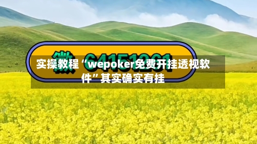 实操教程“wepoker免费开挂透视软件”其实确实有挂-第2张图片