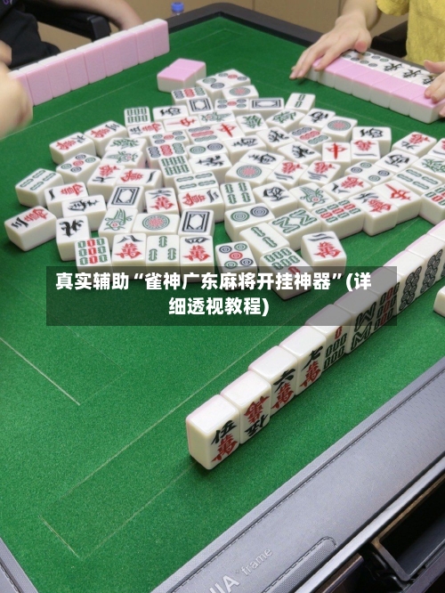 真实辅助“雀神广东麻将开挂神器”(详细透视教程)-第3张图片