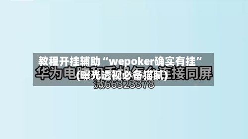 教程开挂辅助“wepoker确实有挂	”(曝光透视必备猫腻)-第3张图片