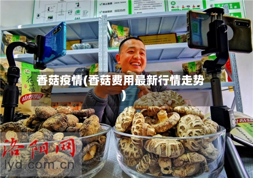 香菇疫情(香菇费用最新行情走势)-第3张图片