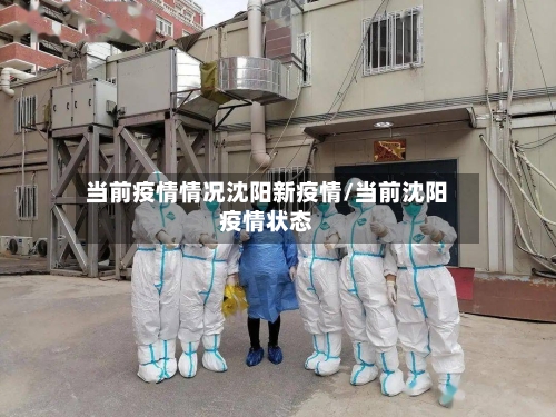 当前疫情情况沈阳新疫情/当前沈阳疫情状态-第3张图片