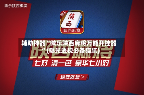 辅助神器“微乐陕西麻将万能开挂器”(曝光透视必备猫腻)-第3张图片