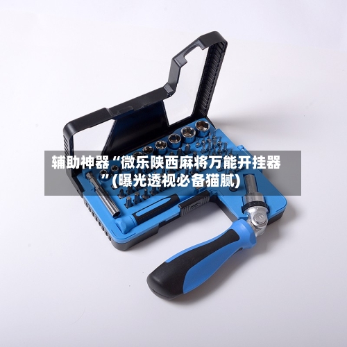 辅助神器“微乐陕西麻将万能开挂器”(曝光透视必备猫腻)-第2张图片