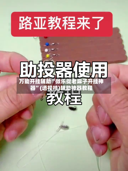 万能开挂辅助“微乐捉老麻子开挂神器”(透视挂)辅助神器教程-第2张图片