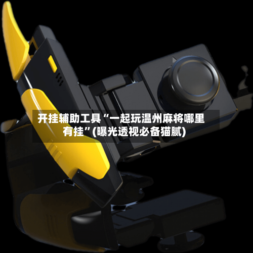 开挂辅助工具“一起玩温州麻将哪里有挂”(曝光透视必备猫腻)-第2张图片