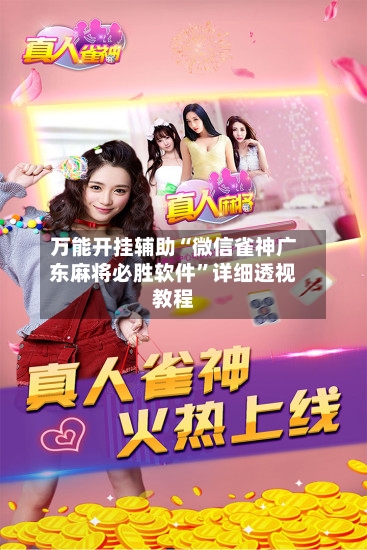 万能开挂辅助“微信雀神广东麻将必胜软件”详细透视教程-第2张图片