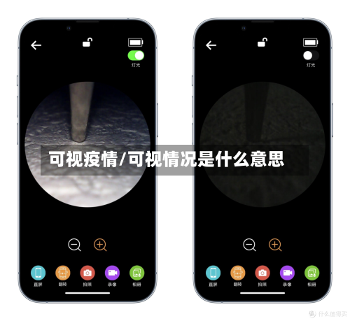 可视疫情/可视情况是什么意思