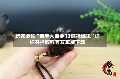 玩家必读“佛手大菠萝13道挂哪里”详细开挂教程官方正版下载-第2张图片