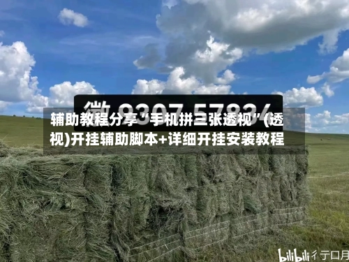 辅助教程分享“手机拼三张透视”(透视)开挂辅助脚本+详细开挂安装教程-第2张图片