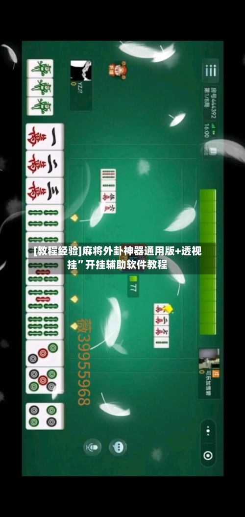 [教程经验]麻将外卦神器通用版+透视挂	”开挂辅助软件教程-第2张图片
