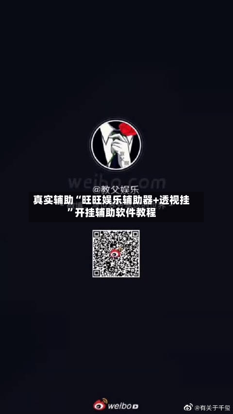 真实辅助“旺旺娱乐辅助器+透视挂”开挂辅助软件教程-第2张图片