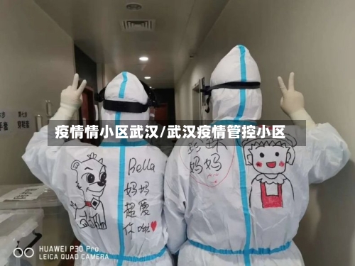 疫情情小区武汉/武汉疫情管控小区
