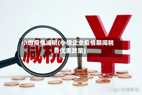 小微疫情减税(小微企业疫情期间税务优惠政策)