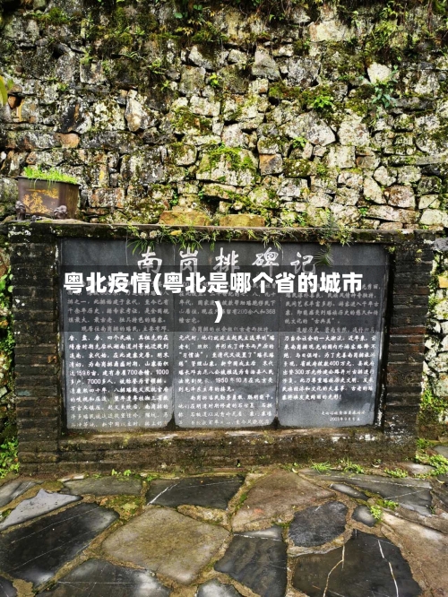 粤北疫情(粤北是哪个省的城市)-第2张图片