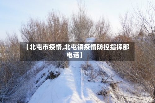 【北屯市疫情,北屯镇疫情防控指挥部电话】-第3张图片
