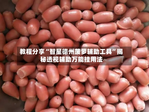 教程分享“智星德州菠萝辅助工具”揭秘透视辅助万能挂用法-第2张图片