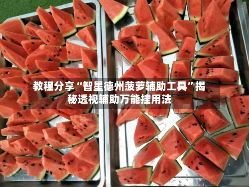 教程分享“智星德州菠萝辅助工具”揭秘透视辅助万能挂用法-第3张图片