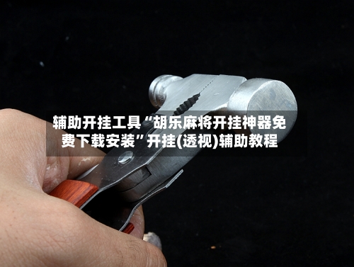 辅助开挂工具“胡乐麻将开挂神器免费下载安装	”开挂(透视)辅助教程-第2张图片