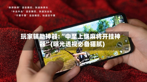 玩家辅助神器:“中至上饶麻将开挂神器”(曝光透视必备猫腻)-第2张图片