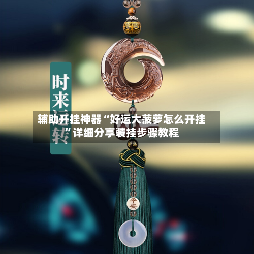辅助开挂神器“好运大菠萝怎么开挂”详细分享装挂步骤教程-第2张图片