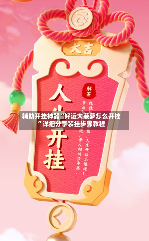 辅助开挂神器“好运大菠萝怎么开挂”详细分享装挂步骤教程-第3张图片