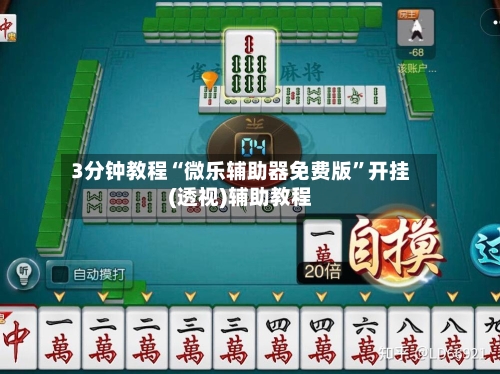 3分钟教程“微乐辅助器免费版”开挂(透视)辅助教程-第3张图片