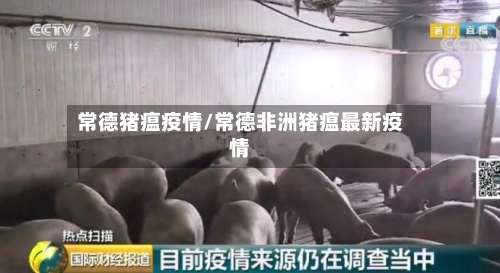 常德猪瘟疫情/常德非洲猪瘟最新疫情