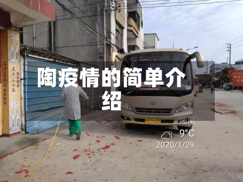 陶疫情的简单介绍