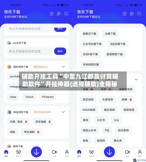 辅助开挂工具“中至九江都昌讨赏辅助软件”开挂神器{透视辅助}全揭秘-第3张图片