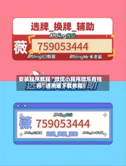 安装程序教程“微信小程序微乐有挂吗”通用版下载教程！-第3张图片