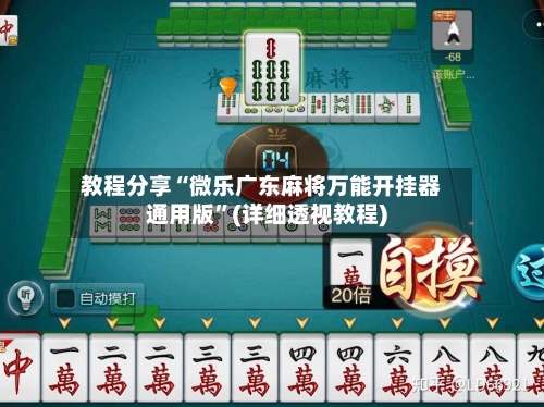 教程分享“微乐广东麻将万能开挂器通用版”(详细透视教程)-第2张图片